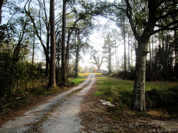 richardson_jo_a_twitpic_uncle-1