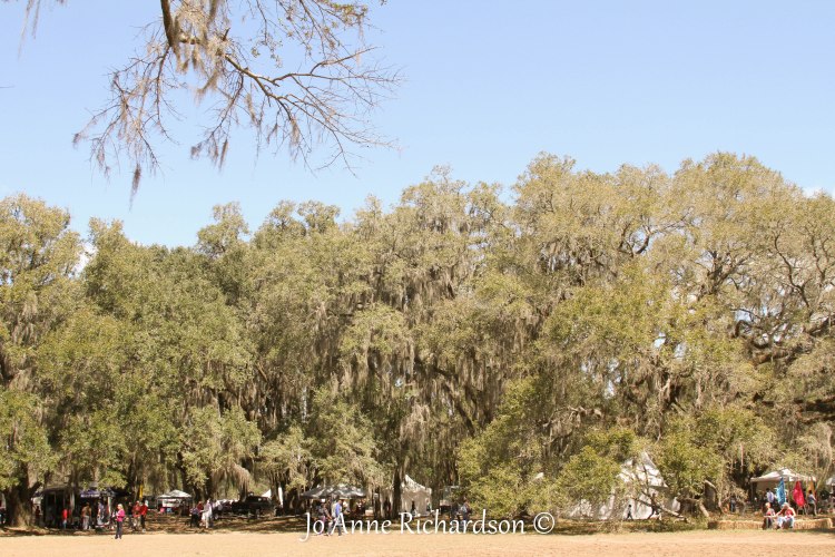 red_hills_march_2013_article_finalwm_joarichardson-31