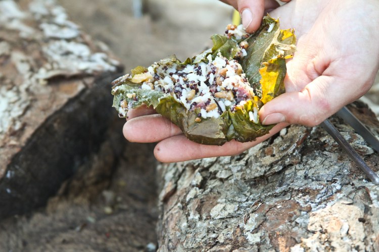 richardson_joanne_cookitraw_10_2013 (100 of 146)