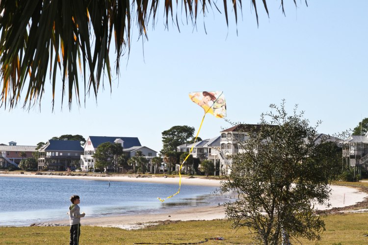 1_wp_richardson_joanne