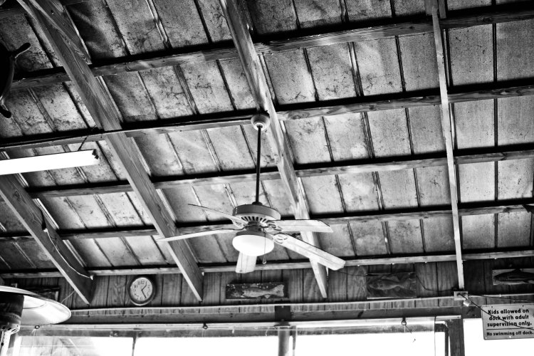 4_wp_richardson_joanne