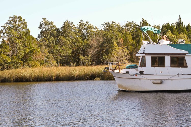 5_wp_richardson_joanne